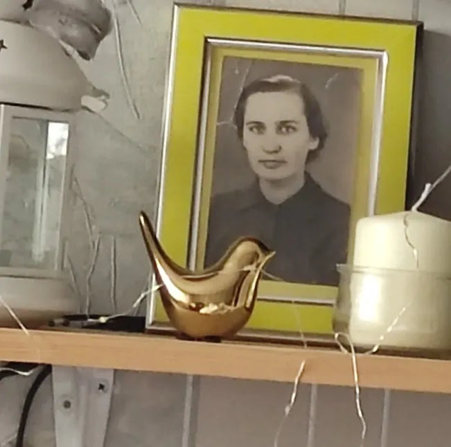 Cute Nordic Golden Bird Family