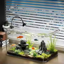 360° Clear Transparent PET Fish Tank (10L)