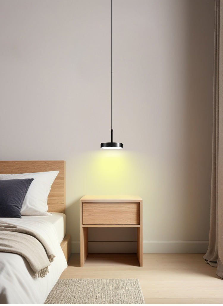 Nordic Minimalist Disc LED Pendant Light