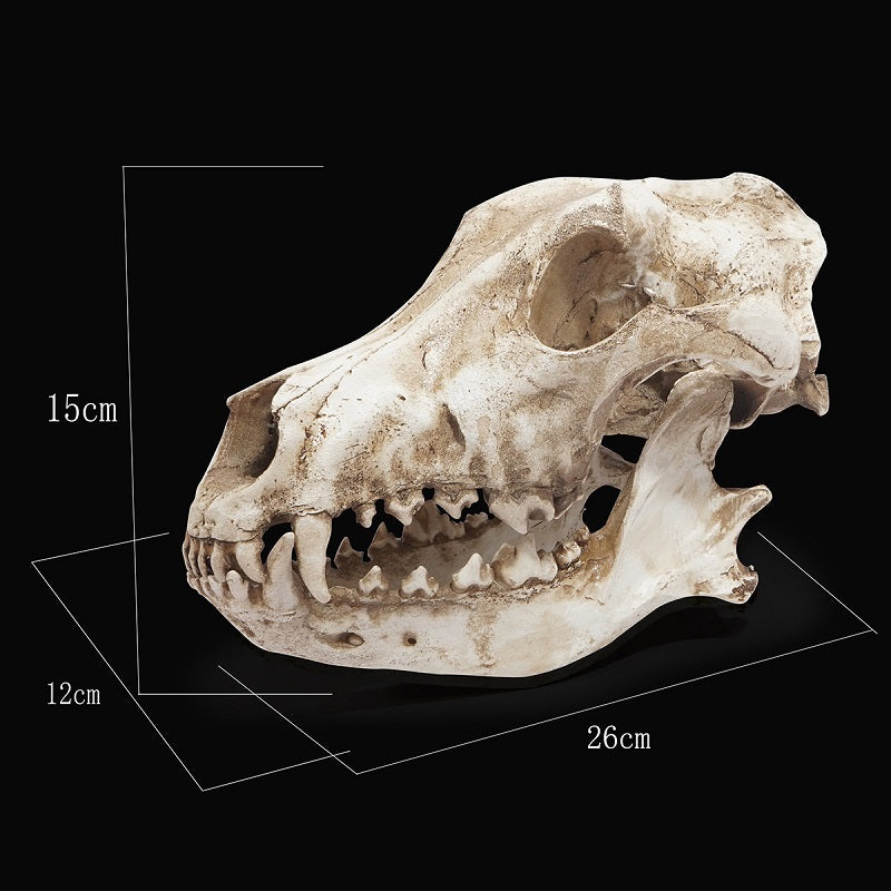 Wolf Skull Sculpture