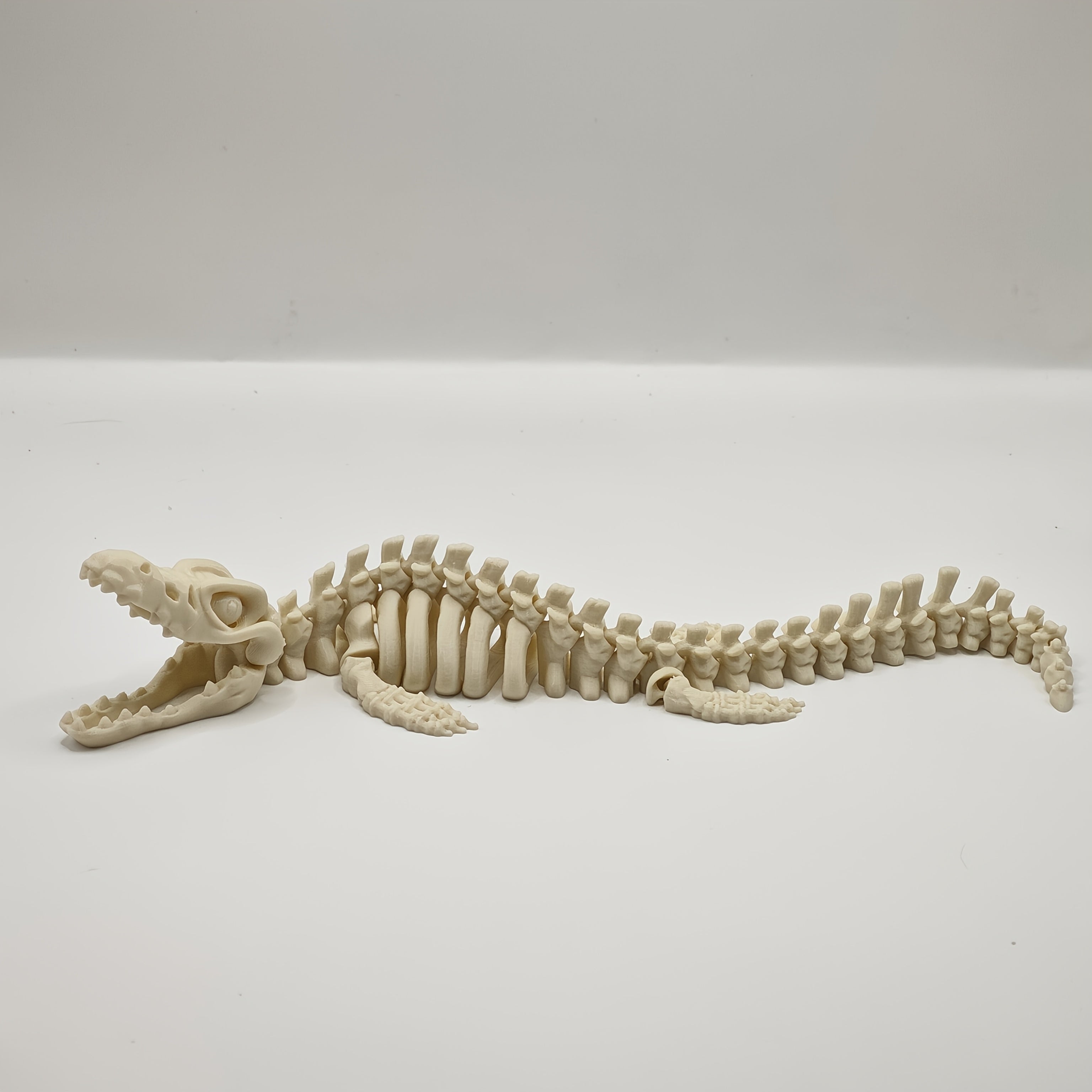 Alligator Skeleton Aquarium Ornament