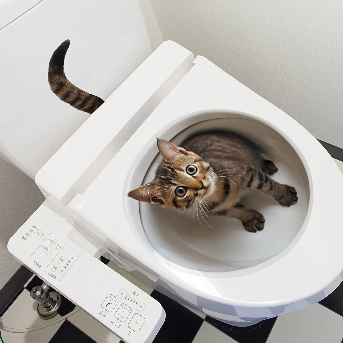 Curious Cat Toilet Illusion Sticker