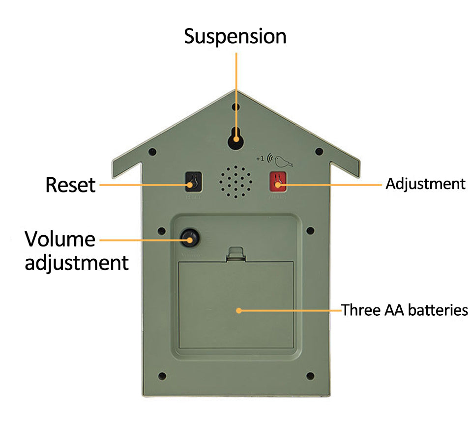 Modern Minimalist Cuckoo Clock