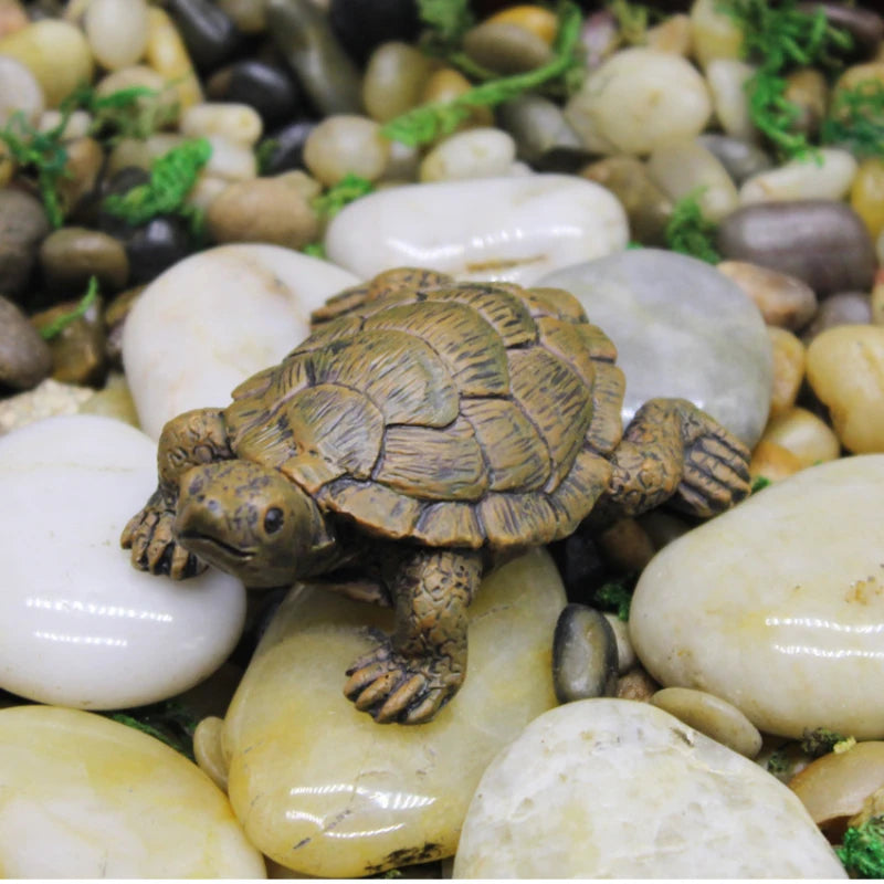 Cute Aquarium Turtle Ornament