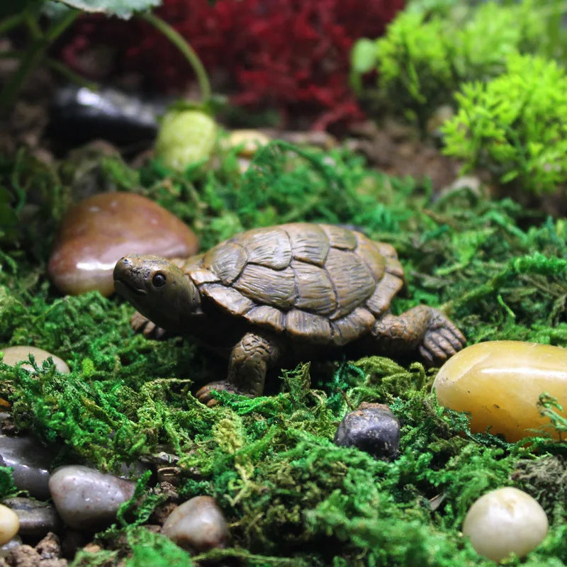 Cute Aquarium Turtle Ornament