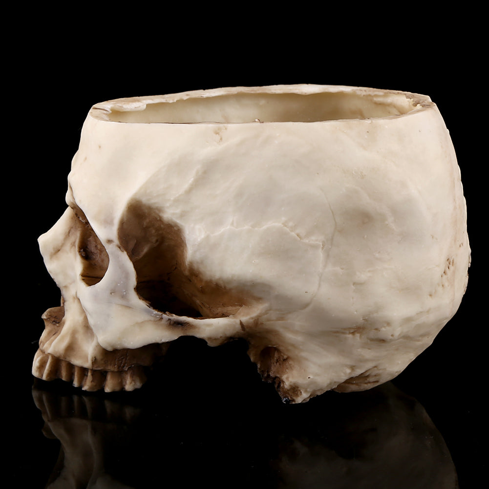 Human Skull Planter Tray