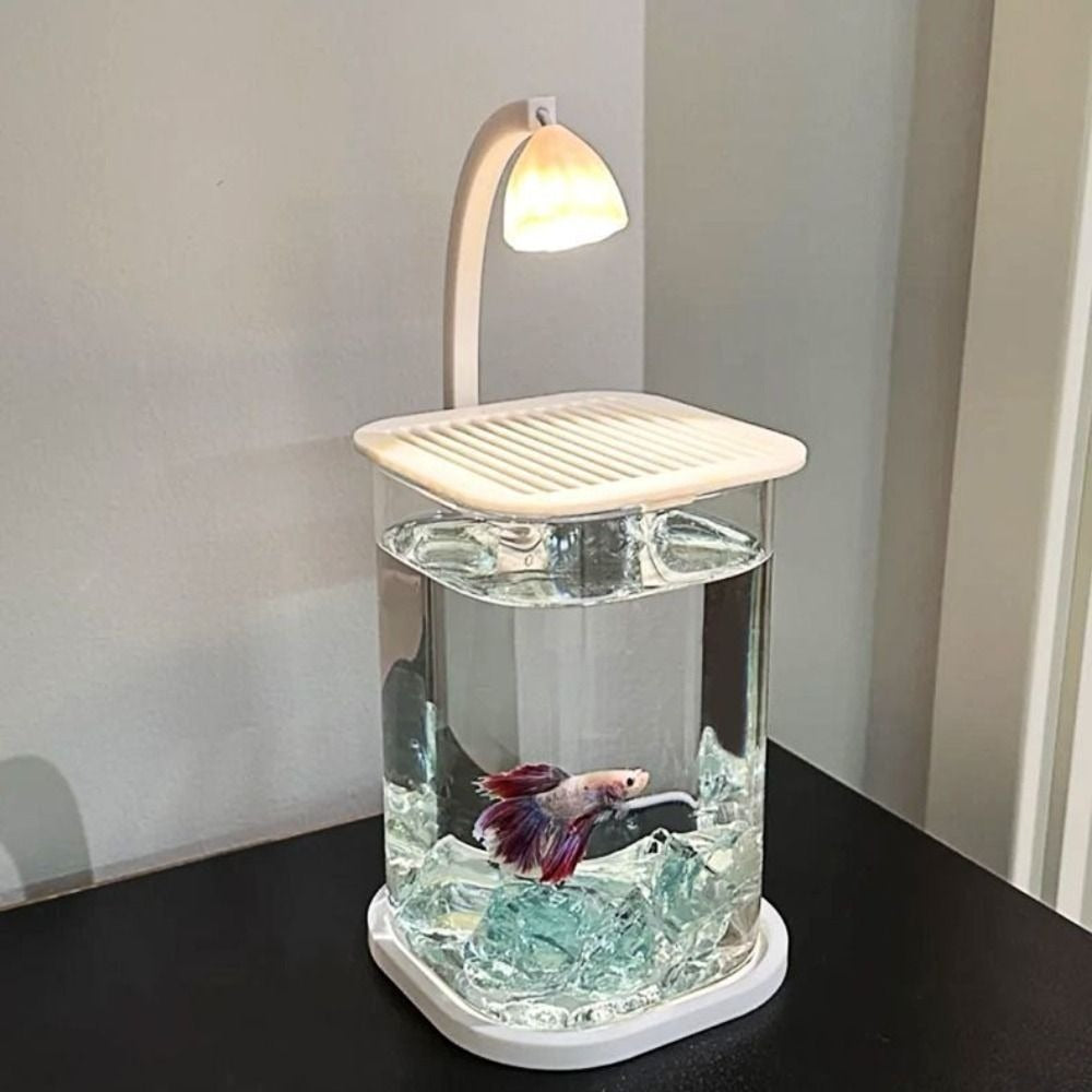 Mini Aquarium with LED Lamp
