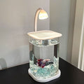 Mini Aquarium with LED Lamp