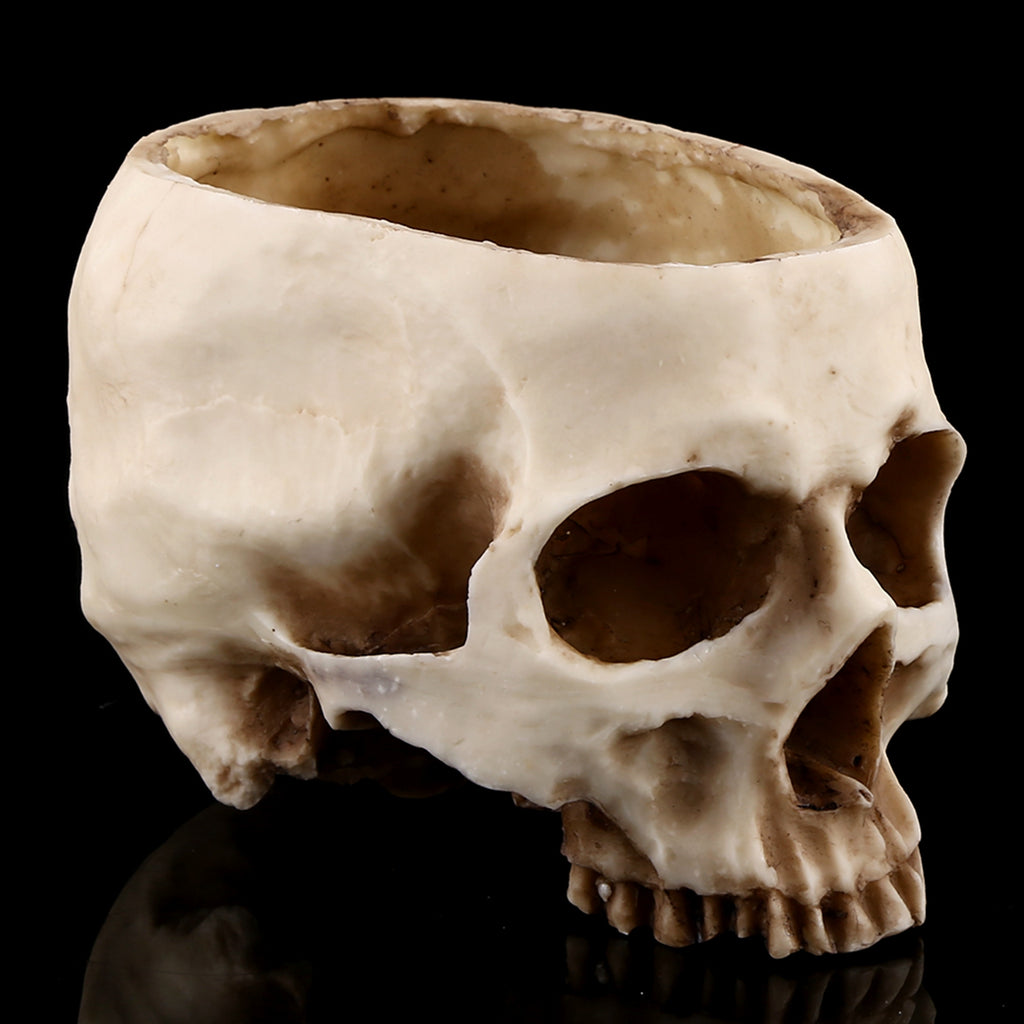 Human Skull Planter Tray