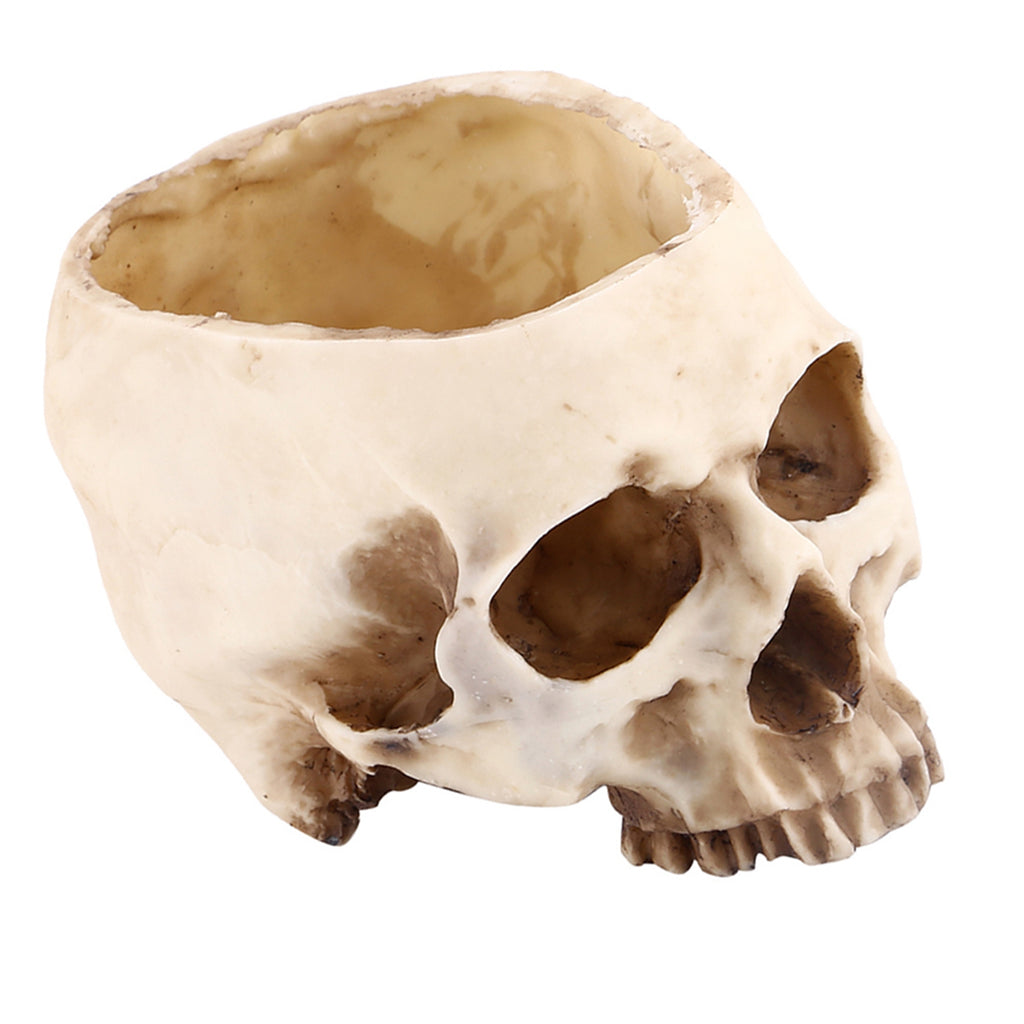 Human Skull Planter Tray
