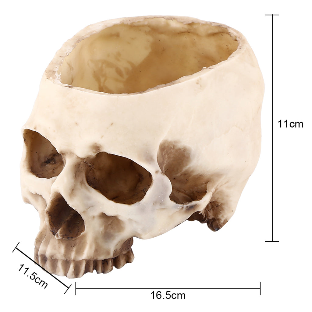 Human Skull Planter Tray