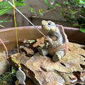 Funny Fishing Turtle Figurine