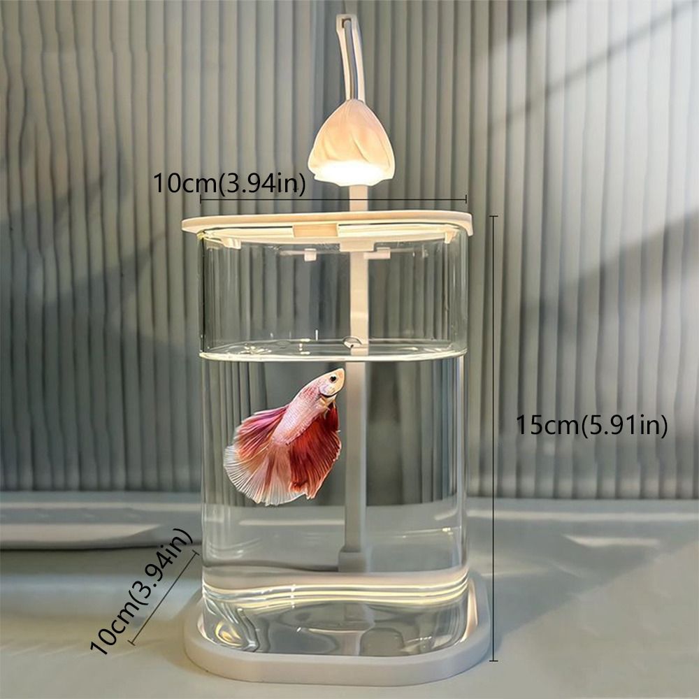 Mini Aquarium with LED Lamp