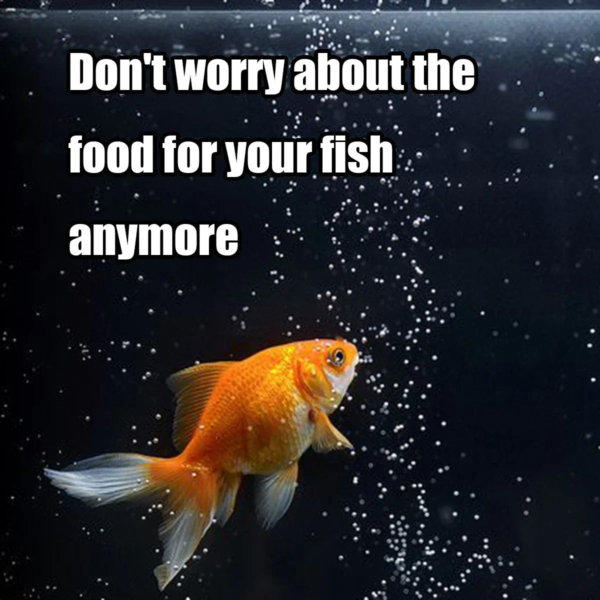 Automatic Aquarium Fish Feeder Decoration