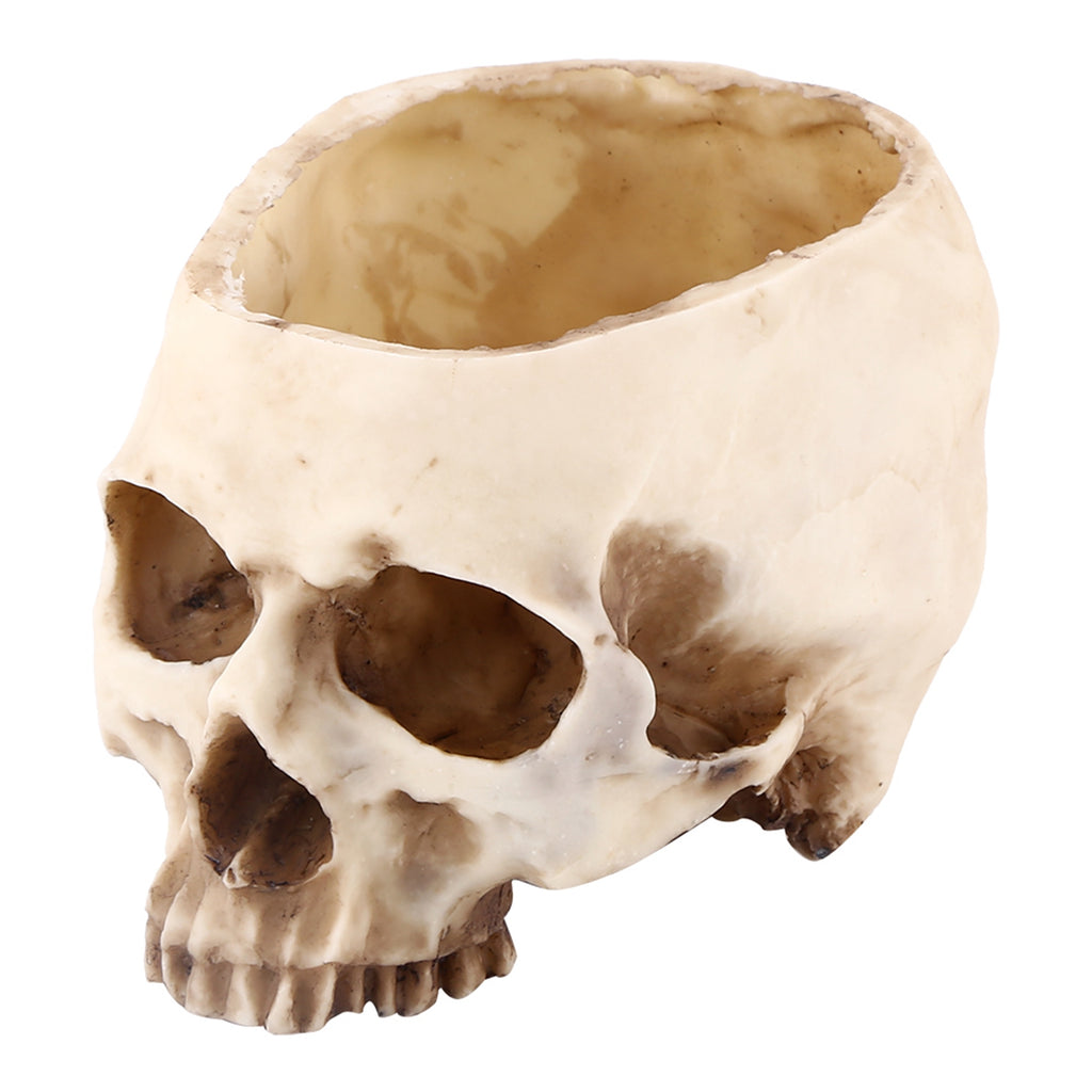 Human Skull Planter Tray