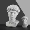 David Bust Statue