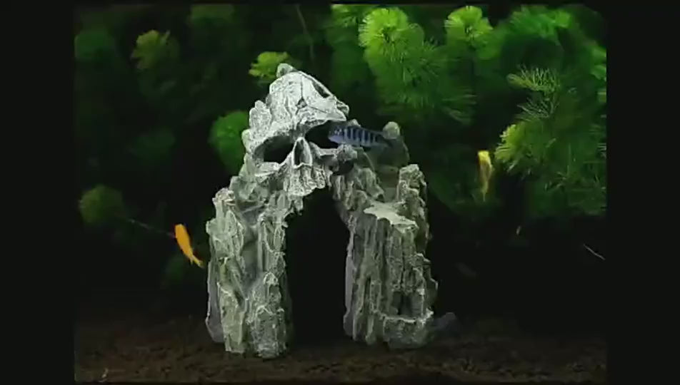 Skull Cave Escape Aquarium Ornament