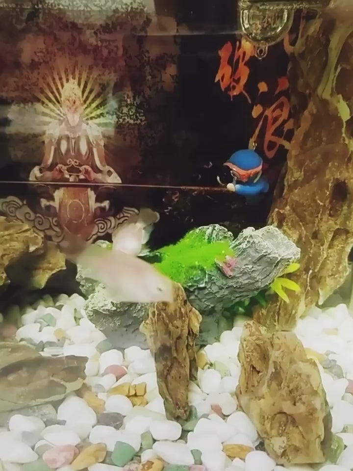 Flocked Rock Cavern Aquarium Decoration