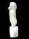 Classical Torso Life Size Statue