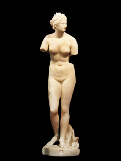 Venus de Medici Life Size Statue