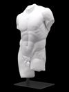 Classical Male Torso Statue