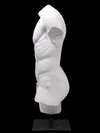 Classical Male Torso Statue