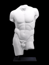 Classical Male Torso Statue