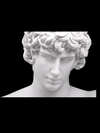 Antinous Bust Statue