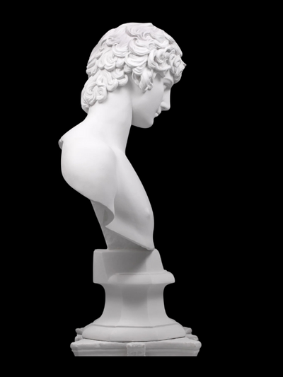 Antinous Bust Statue